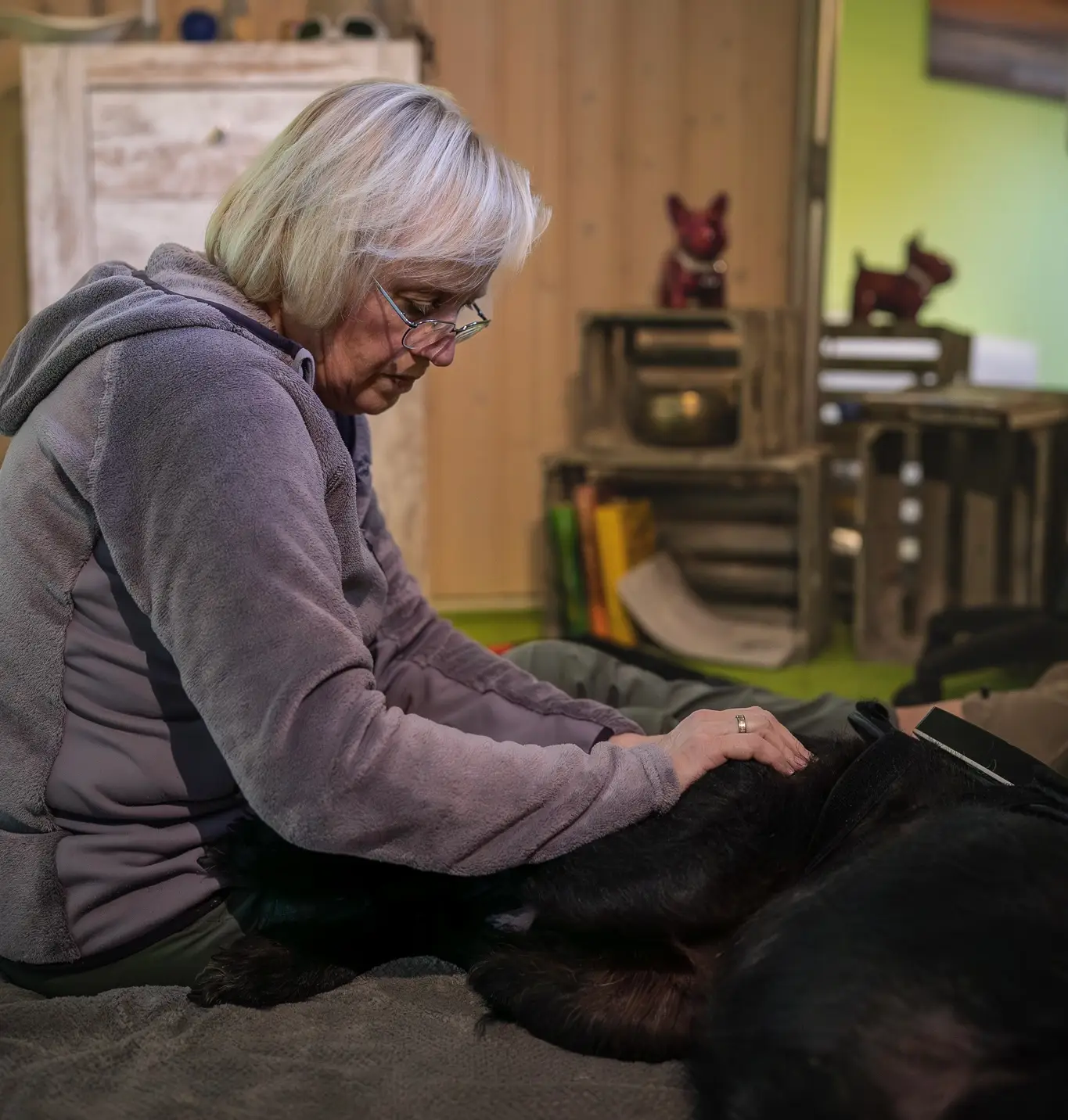 Tierheilpraktikerin Claudia Meisters behandelt einen Hund in der Praxis in Mülheim an der Ruhr